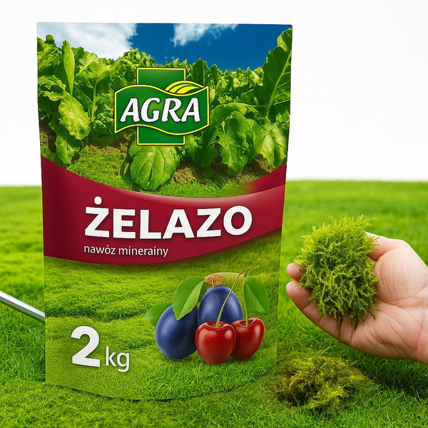 NAWÓZ SIARCZAN ŻELAZA NA MECH DO TRAWNIKÓW ZAKWASZACZ RODODENDRONÓW HORTENSJI
