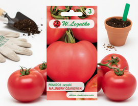 LEGUTKO NASIONA SMACZNY POMIDOR GRUNTOWY RÓŻOWY MALINOWY OŻAROWSKI WYSOKI 1G