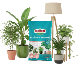 ZIEMIA PODŁOŻE DO MONSTERY SYNGONIUM EPIPREMNUM SZEFLERY FIKUSA BANANOWCA PALM