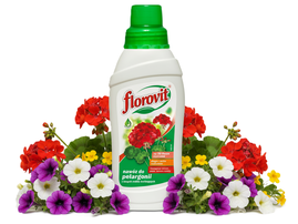 FLOROVIT NAWÓZ DO PELARGONII PETUNII FUKSJI WERBENY AKSAMITEK BEGONII BRATKÓW