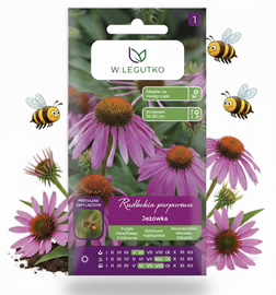 LEGUTKO NASIONA JEŻÓWKA PURPUROWA RÓŻOWA MIODODAJNA PRZYJAZNA DLA PSZCZÓŁ 1 G