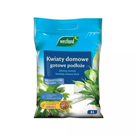 WESTLAND PODŁOŻE ZIEMIA DO PALM DRACEN FIKUSA ZIELISTKI SKRZYDŁOKWIATÓW MONSTERY