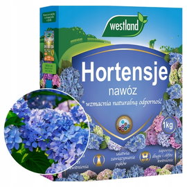 WESTLAND NAWÓZ ZAKWASZACZ DO HORTENSJI RODODENDRONÓW AZALII WRZOSÓW HEBE 1 KG