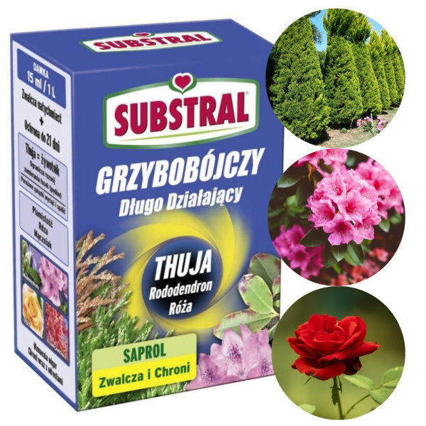 SUBSTRAL SAPROL THUJA ŚRODEK NA BRĄZOWIENIE TUJI CHOROBY RODODENDRONÓW RÓŻ AZALI