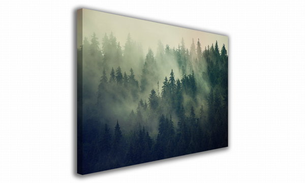 OBRAZ NA PŁÓTNIE 027 Gęsty las 100x70cm