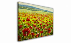 OBRAZ NA PŁÓTNIE 059 Maki 100x70cm