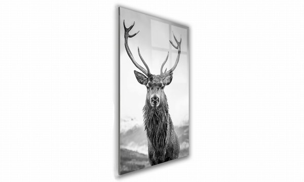 OBRAZ NA SZKLE PROSTOKĄTNY 40x60cm 013 Czarno-biały jeleń