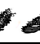 Zegar ścienny z płyty winylowej 347.13 Harley Davidson