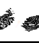 Zegar ścienny z płyty winylowej 340.13 Harley Davidson
