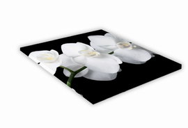 SZKLANA DESKA KUCHENNA 35x35 438g Biała orchidea