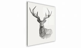 OBRAZ NA SZKLE KWADRATOWY 40x40cm 035 Jeleń