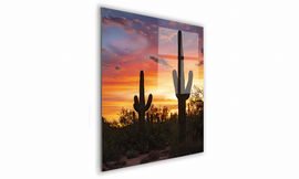 OBRAZ NA SZKLE KWADRATOWY 40x40cm 039 Kaktus