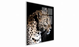 OBRAZ NA SZKLE KWADRATOWY 40x40cm 051 Lampart