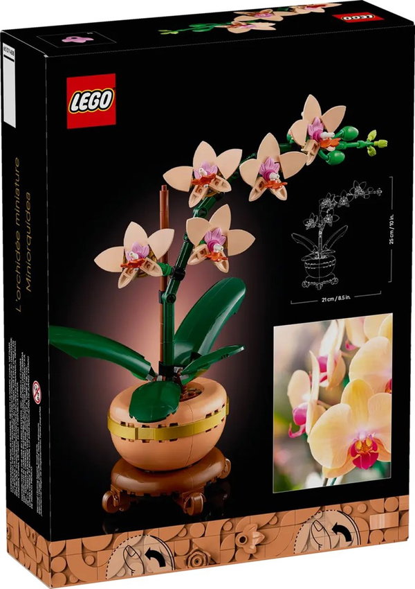 Klocki LEGO Botanicals 10343: Mała orchidea (274 el.)