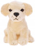 Beppe: Labrador 20cm
