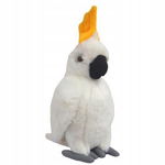 Beppe: Kakadu 33cm