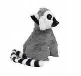 Deef Lemur