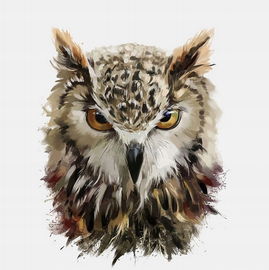 Norimpex: Malowanie po Numerach - Sowa