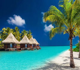 Norimpex: Diamentowa Mozaika 5D - Rajska Plaża