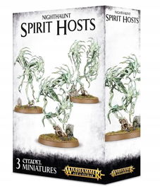 Warhammer Age of Sigmar Nighthaunt: Spirit Hosts
