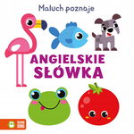 Zielona Sowa: Maluch poznaje. Angielskie słówka