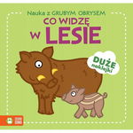 Zielona Sowa: Nauka z grubym obrysem. Co widzę w lesie