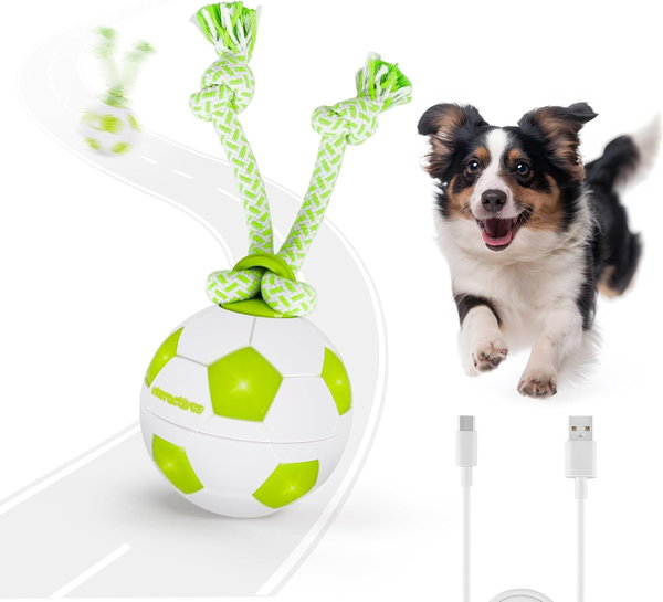 Interaktywna piłka dla psa ALL FOR PAWS, ruchoma piłka dla psa z diodami LED