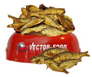Vector-Food Suszona rybka (sardynka) 100g