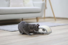 Drapak dla kota Half Moon, 26 x 22 x 11 cm, sizal, szary, Kerbl