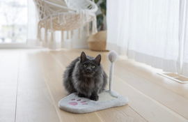 Drapak dla kota Paw, 36 cmm, biało-różowy, Kerbl