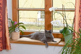 Legowisko, poduszka na parapet , 60 x 26 x 2 cm, Kerbl