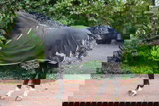 Derka polarowa dla konia RugBe Economic, czarny, 115 cm, Covalliero