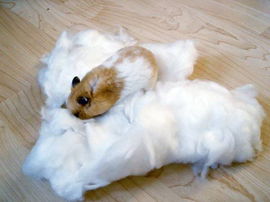 Bawełna dla chomika, 30 g, biała, Kerbl