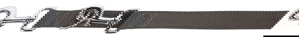 Smycz dla psa Miami Plus, 200 cm x 25 mm, szara, Kerbl