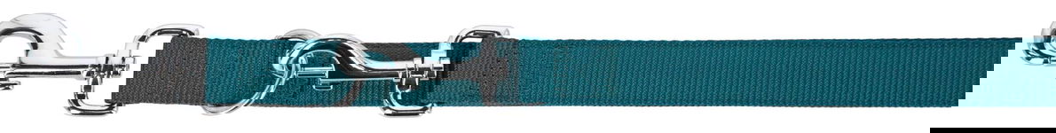 Smycz dla psa Miami Plus, 200 cm x 25 mm, turkusowa, Kerbl