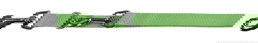 Smycz dla psa Miami, 200 cm x 20 mm, zielona, Kerbl