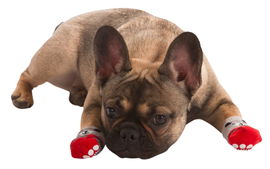 Skarpety dla psa Bruno, 3 x 7,5 cm, S, Kerbl