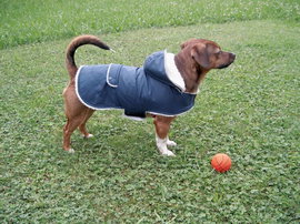 Płaszcz dla psa Teddy, 55 cm, Kerbl