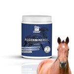 Derby Algenmineral Pasza Mineralna Dla Koni 1kg