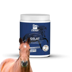 Derby Gelat Suplement Diety 700g