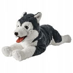 Pluszak pies husky siberian DUŻY