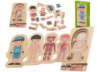 Puzzle Drewniane Warstwowe Budowa Ciała Chłopiec Edukacyjna Anatomiczna