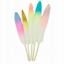 Piórka ombre mix kolorów 13,5cm 10 szt
