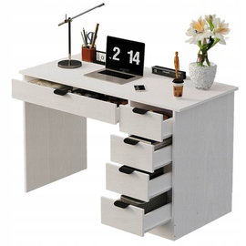 Biurko komputerowe młodzieżowe z 5 szufladami loft 120 cm