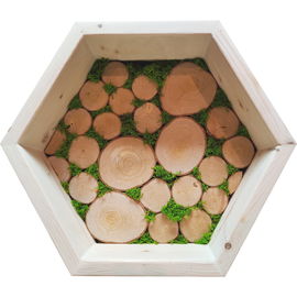 Półka heksagon - Plastry Drewna z mchem chrobotkiem