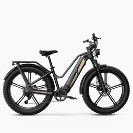 Rower elektryczny Fiido TITAN solidny fatbike 250W 55Nm 14.5Ah 110KM 200kg