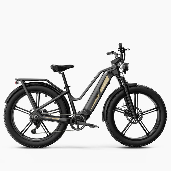 Rower elektryczny Fiido TITAN solidny fatbike 250W 55Nm 14.5Ah 110KM 200kg