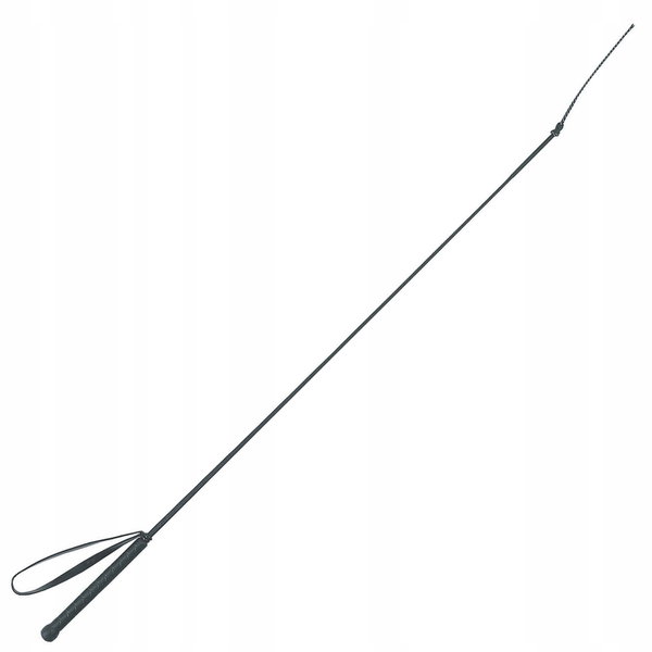 Bat ujeżdżeniowy Producent Model czarny 100 cm