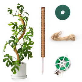 Drążek Kinglake 120cm Kije kokosowe Wsparcie dla roślin pnących Monstera