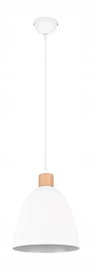 LAMPA WISZĄCA TRIO RL JAGGER R30681031 BIAŁY